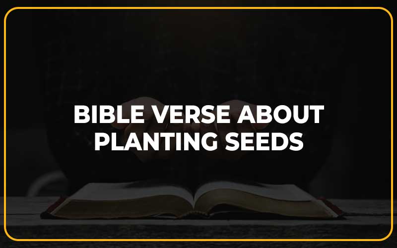 Bible Verse About Planting Seeds