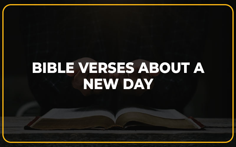 Bible Verses About A New Day