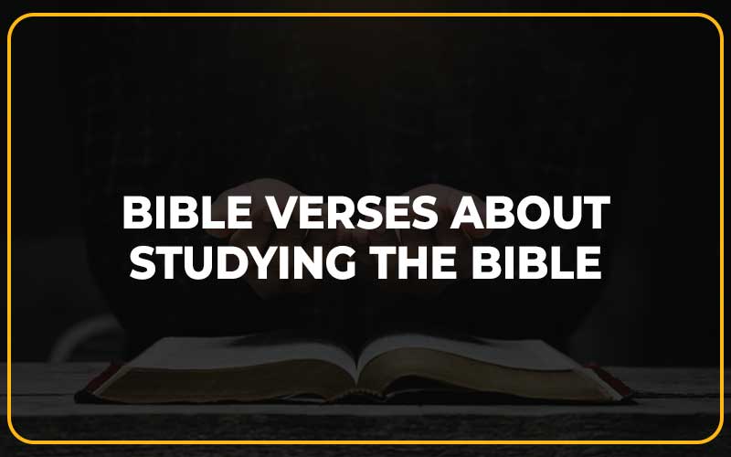 Bible Verses About Studying The Bible