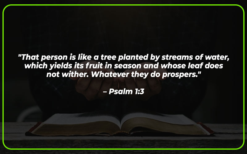 Bible Verses About Trees