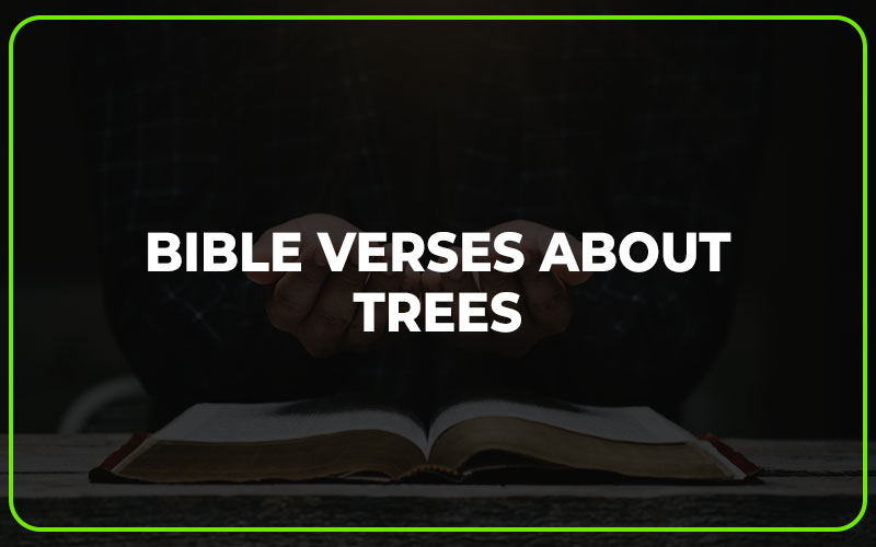 Bible Verses About Trees