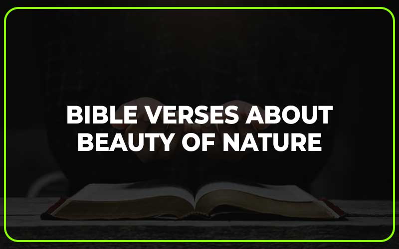 Bible Verses About Beauty Of Nature