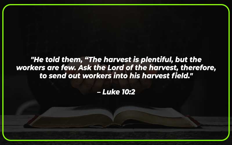 Bible Verses About Farming