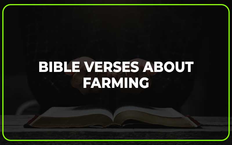 Bible Verses About Farming