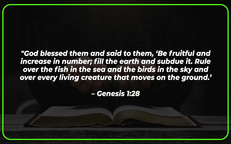 Bible Verses about Fruit of the Womb