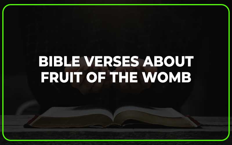 Bible Verses about Fruit of the Womb