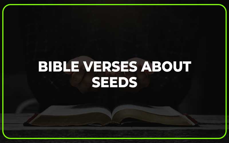 Bible Verses About Seeds