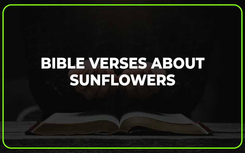 Bible Verses About Sunflowers